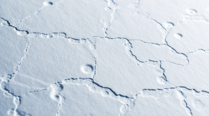 Nahaufnahme einer geprägten, vernetzten Struktur auf weißer Fläche, Symbol für Datenverbindungen und systemische Zusammenhänge.