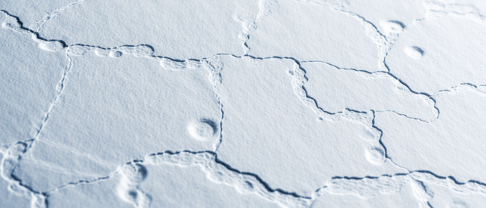 Nahaufnahme einer geprägten, vernetzten Struktur auf weißer Fläche, Symbol für Datenverbindungen und systemische Zusammenhänge.